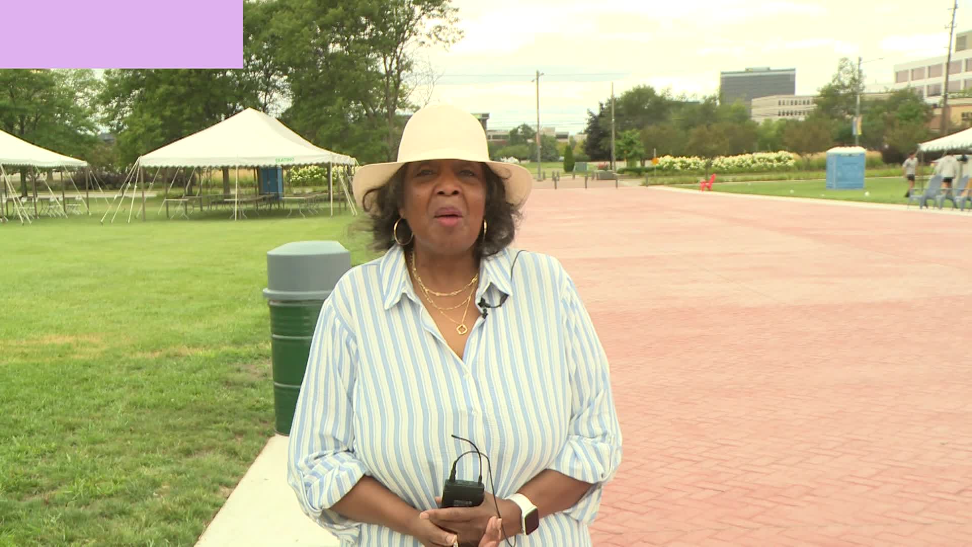 Southfieldnow109_Domesticviolencewalkpreview