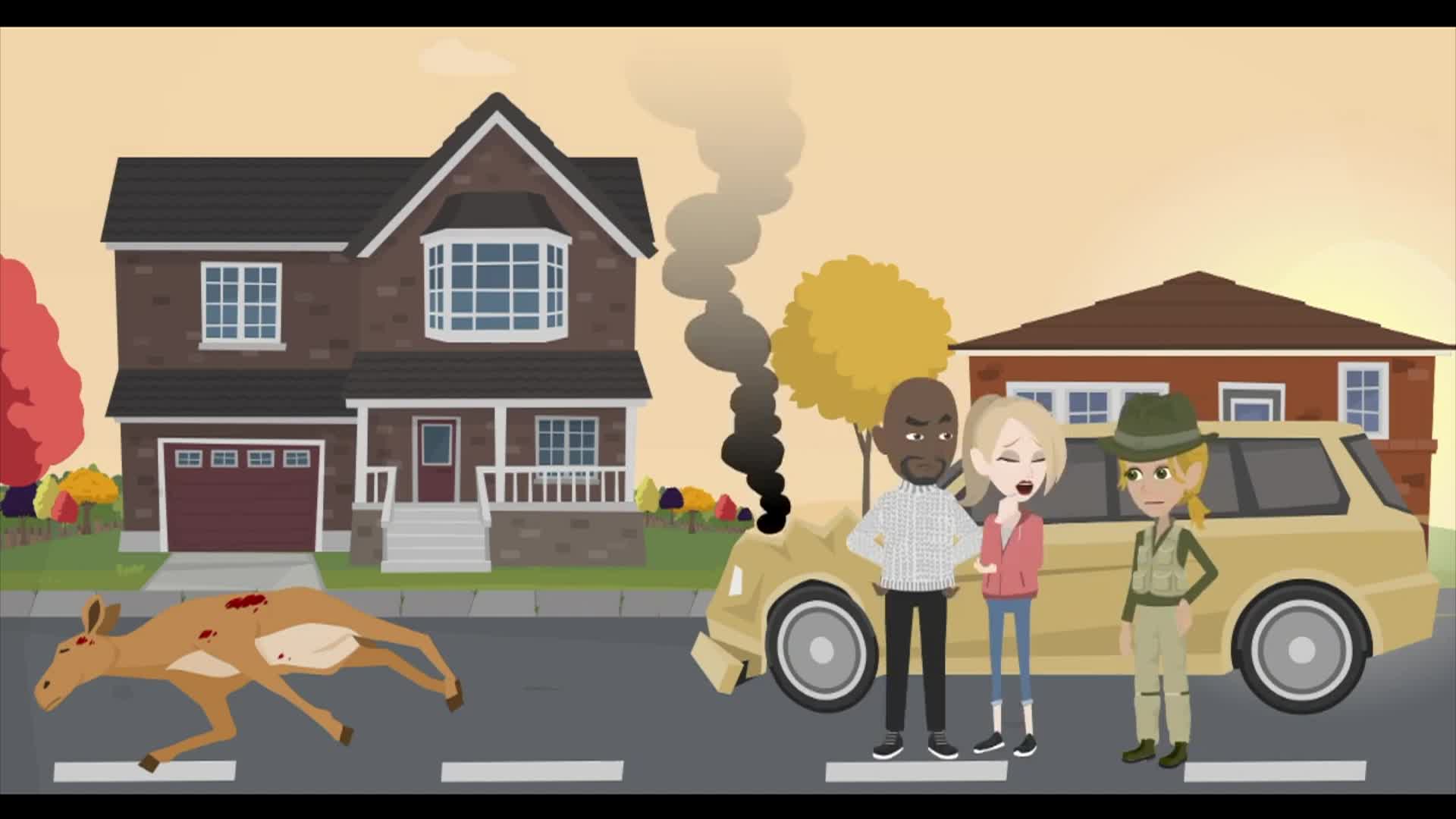 Southfield Wildlife vs Car